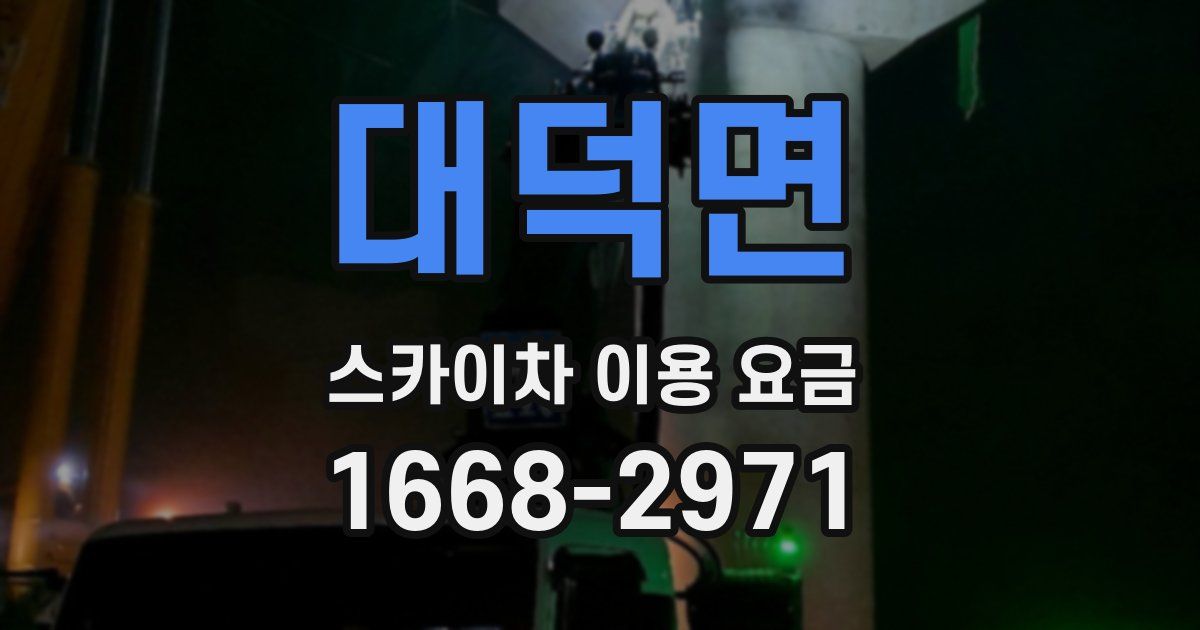 대덕면 스카이차 이용 요금