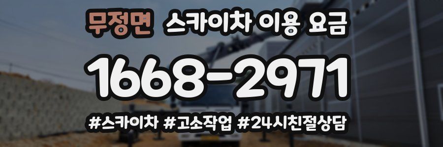 무정면 스카이차 이용 요금