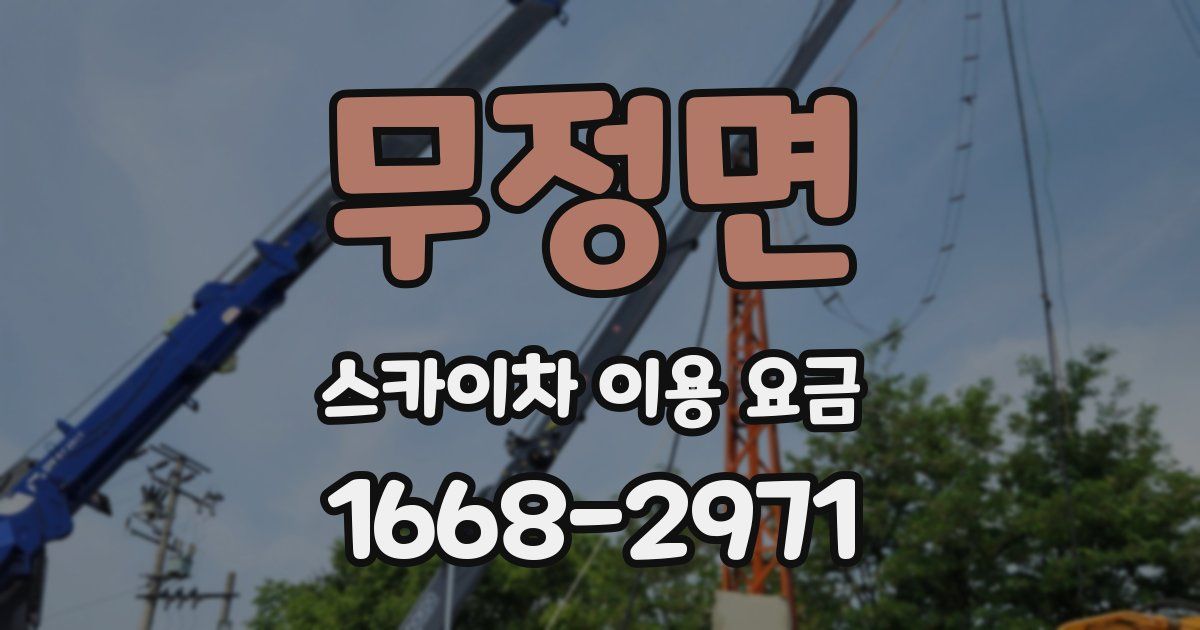 무정면 스카이차 이용 요금