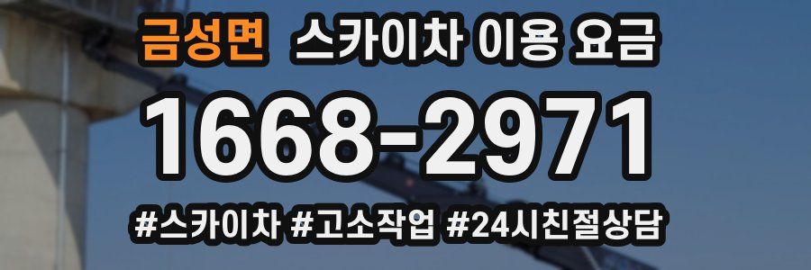 금성면 스카이차 이용 요금