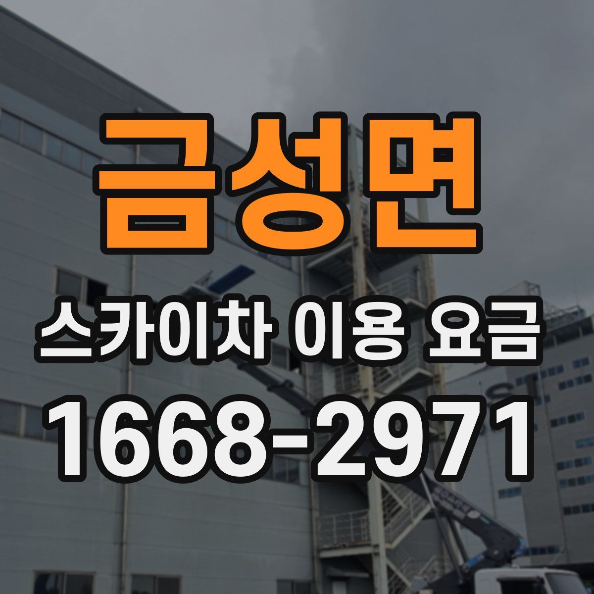 금성면 스카이차 이용 요금