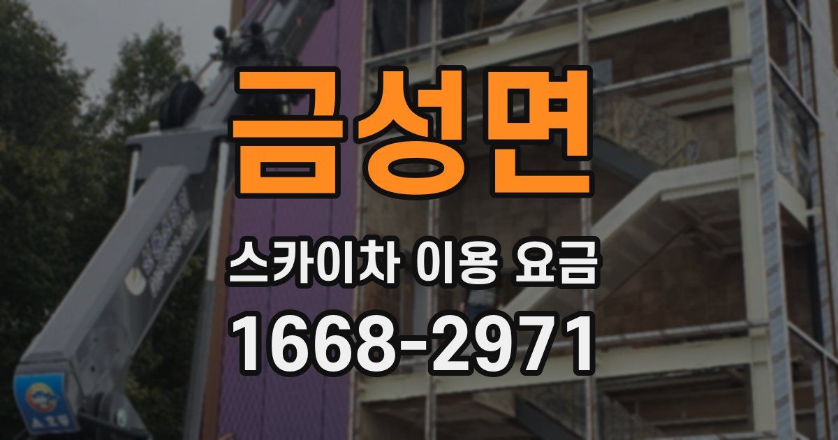 금성면 스카이차 이용 요금