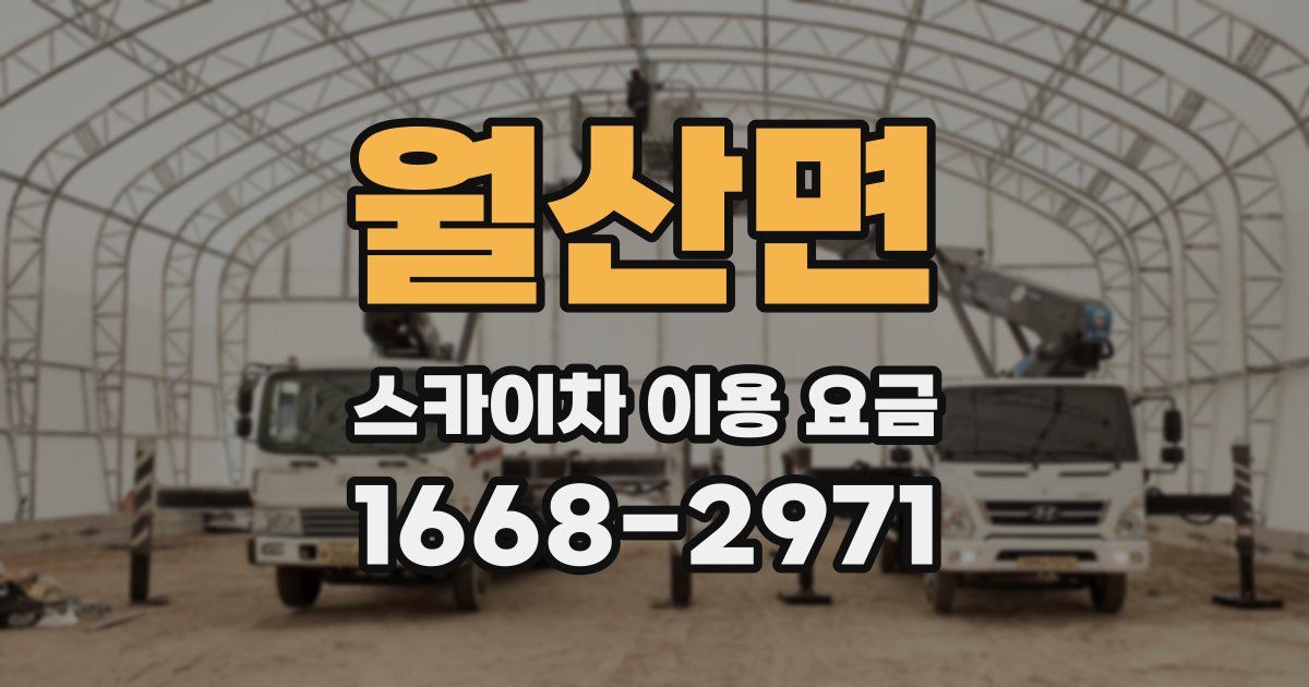 월산면 스카이차 이용 요금