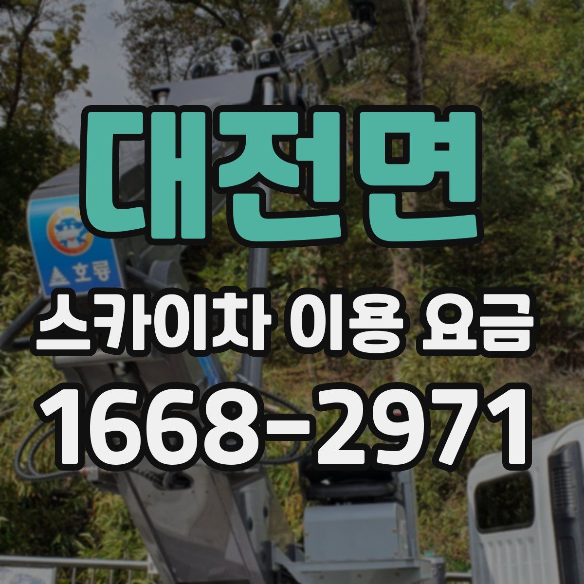 대전면 스카이차 이용 요금