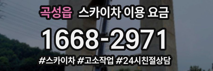 곡성읍 스카이차 이용 요금