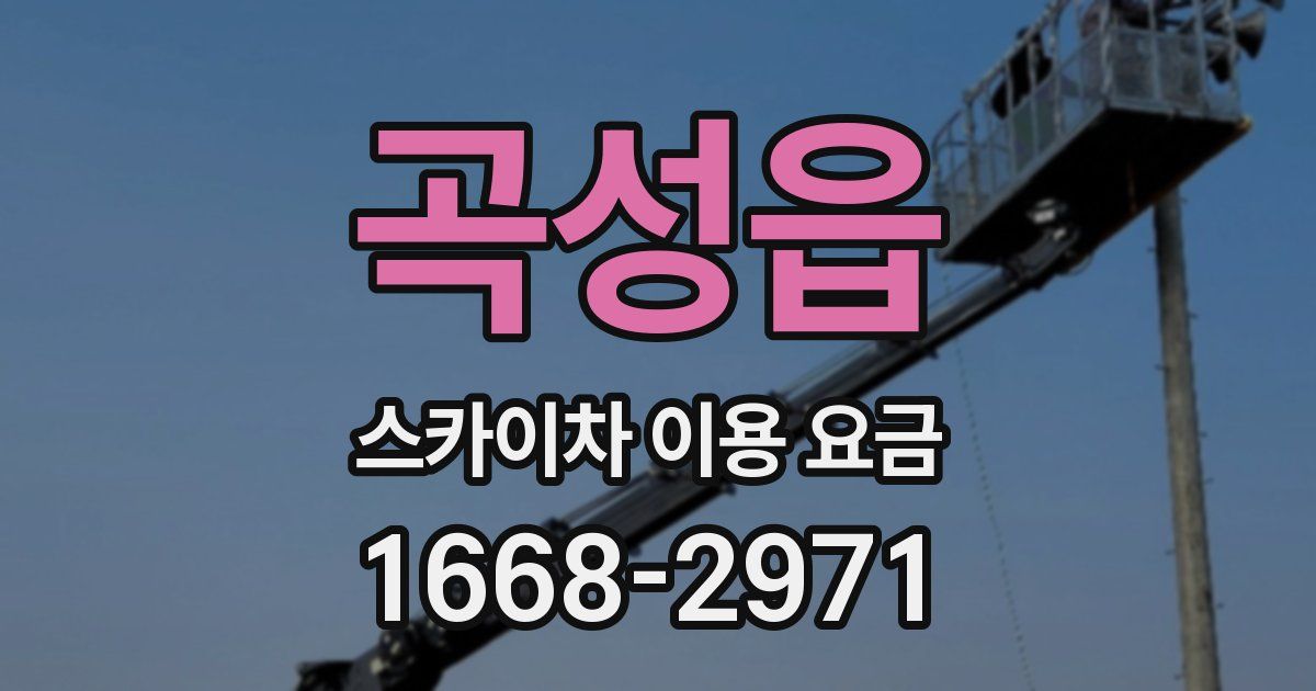 곡성읍 스카이차 이용 요금