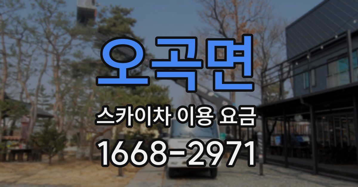 오곡면 스카이차 이용 요금