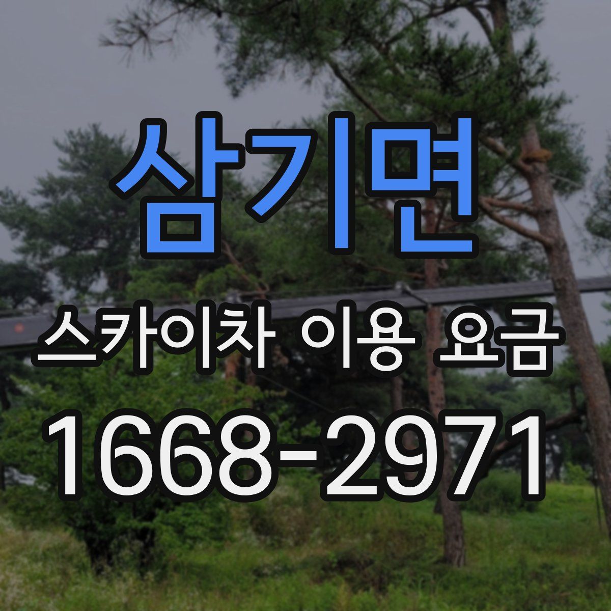 삼기면 스카이차 이용 요금