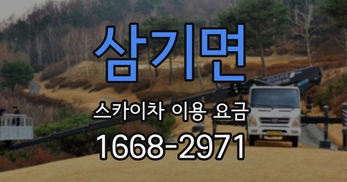 삼기면 스카이차 이용 요금