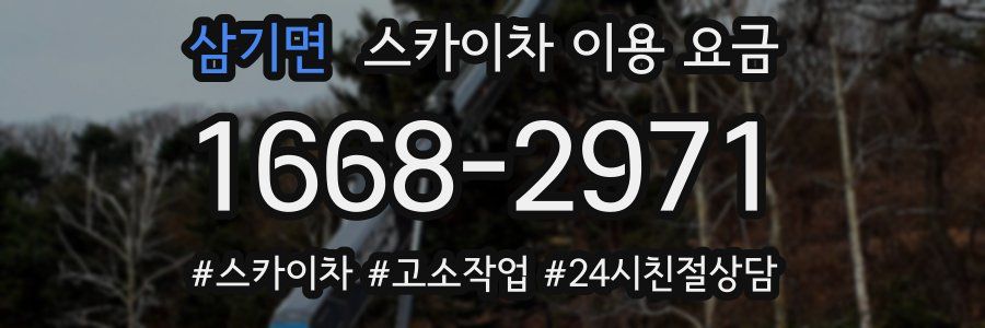 삼기면 스카이차 이용 요금