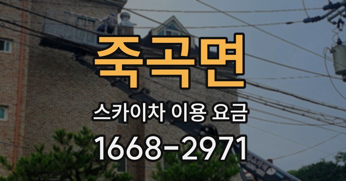 죽곡면 스카이차 이용 요금