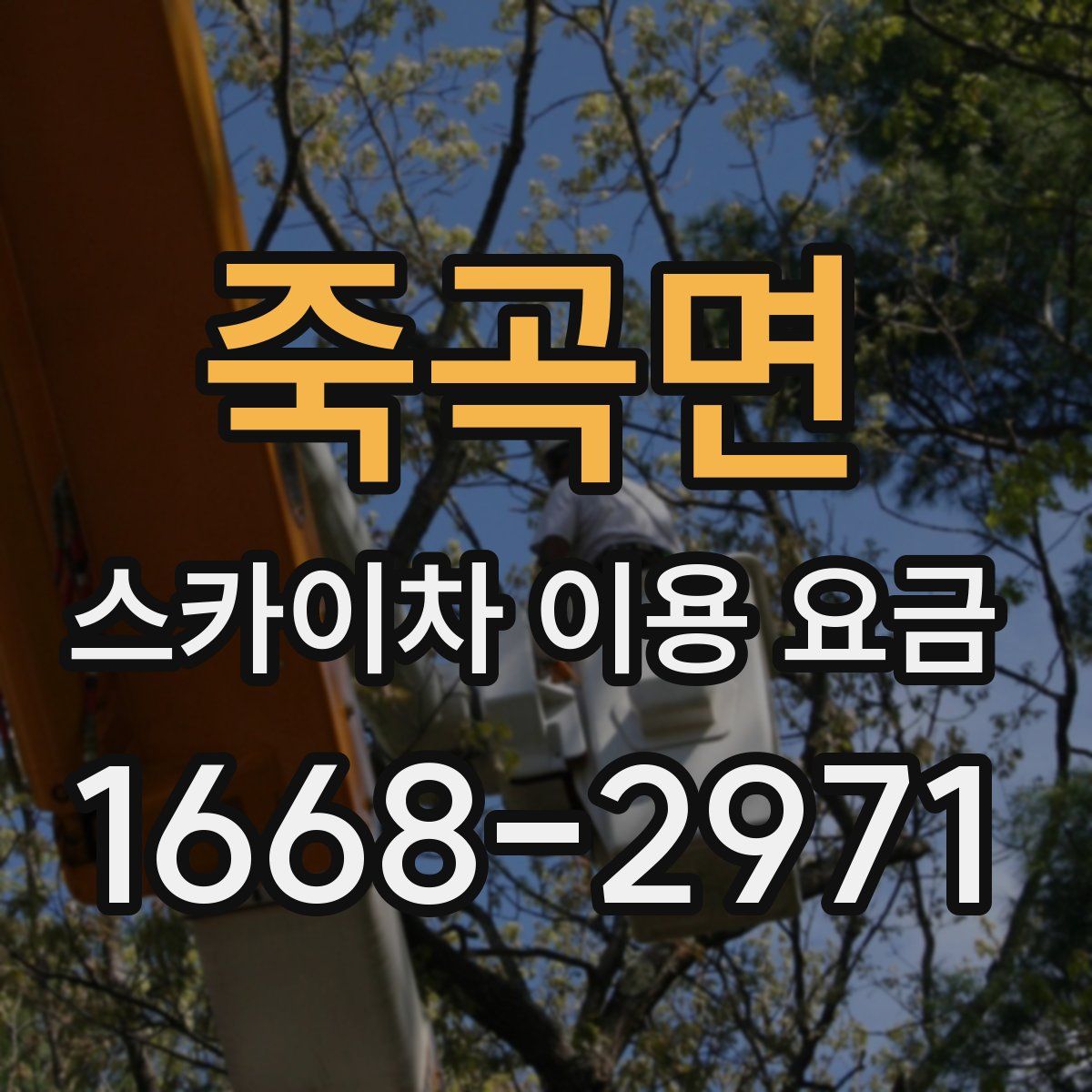 죽곡면 스카이차 이용 요금