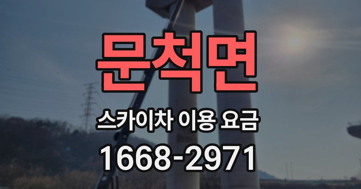 문척면 스카이차 이용 요금