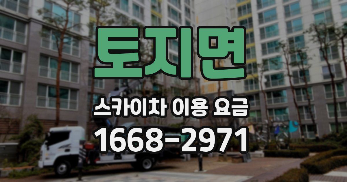 토지면 스카이차 이용 요금