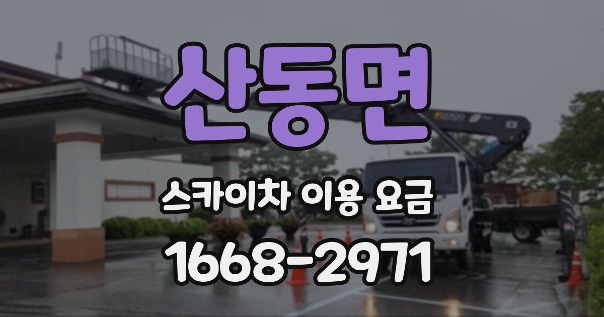 산동면 스카이차 이용 요금