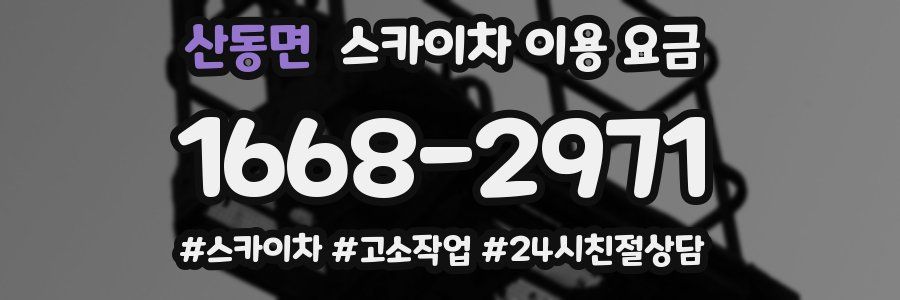산동면 스카이차 이용 요금