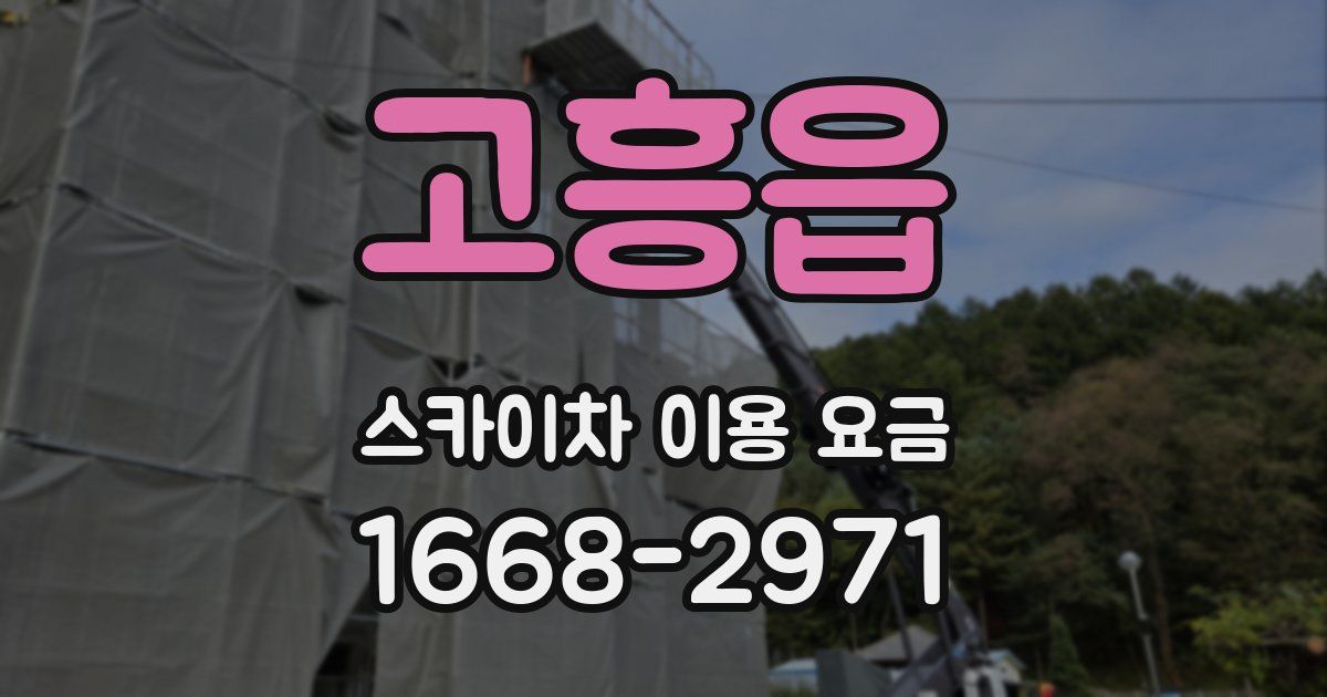 고흥읍 스카이차 이용 요금