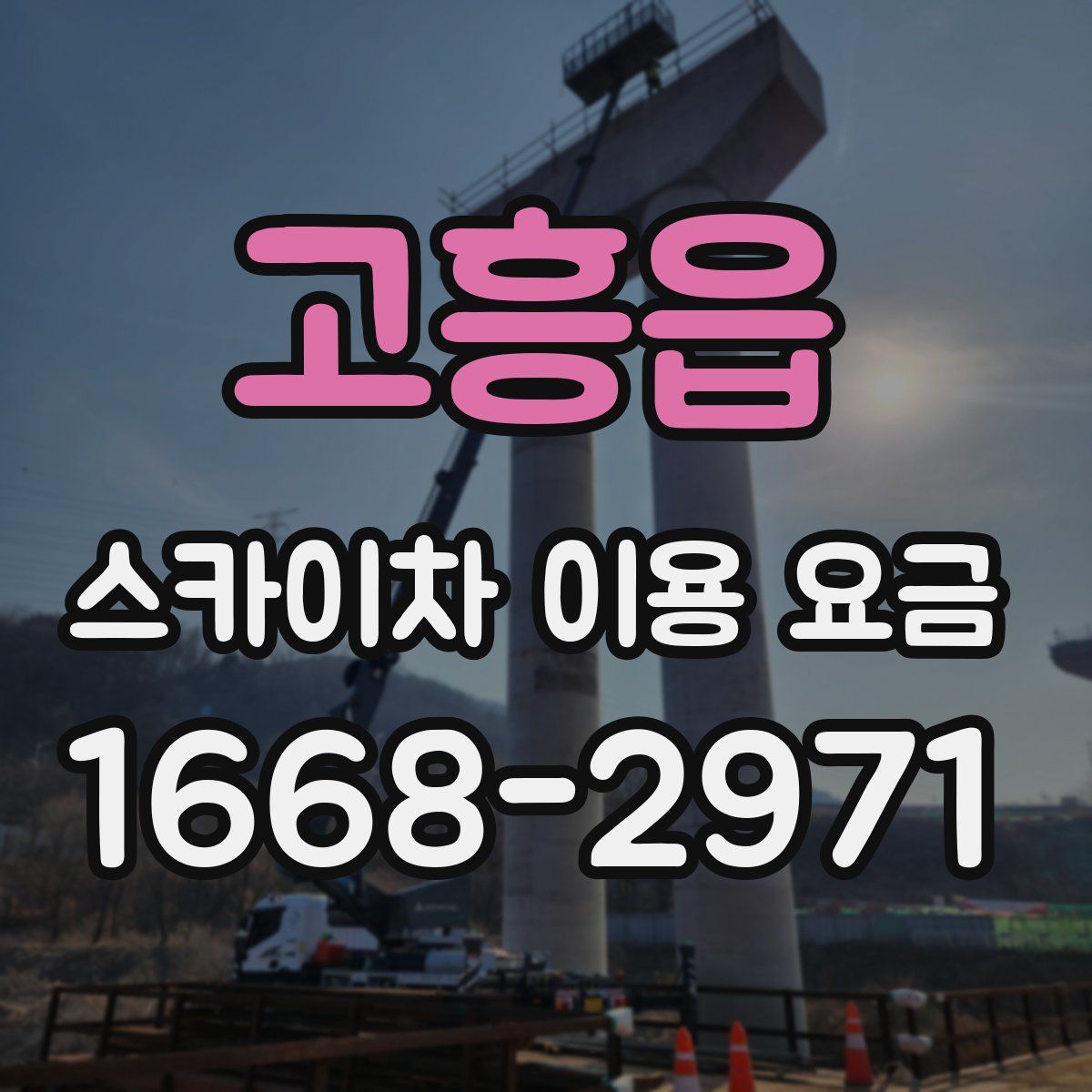 고흥읍 스카이차 이용 요금