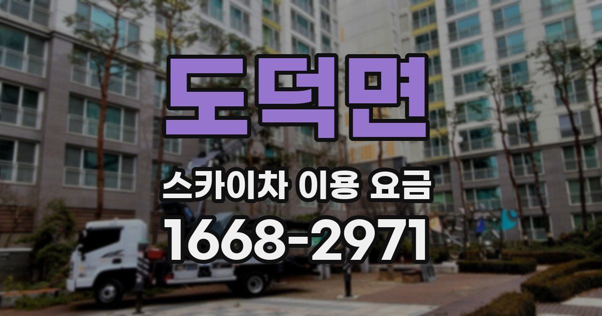 도덕면 스카이차 이용 요금