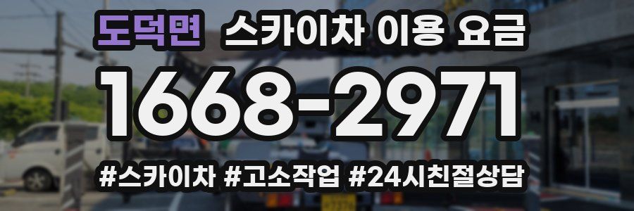 도덕면 스카이차 이용 요금