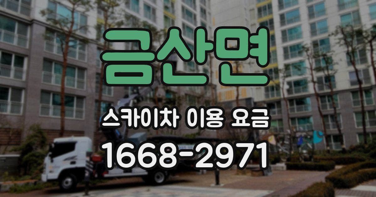 금산면 스카이차 이용 요금