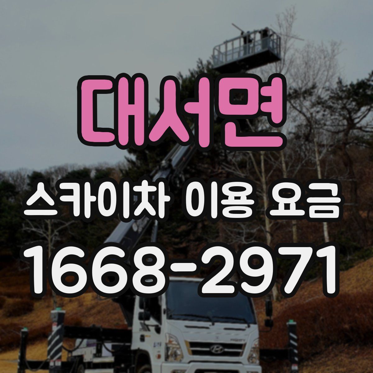 대서면 스카이차 이용 요금