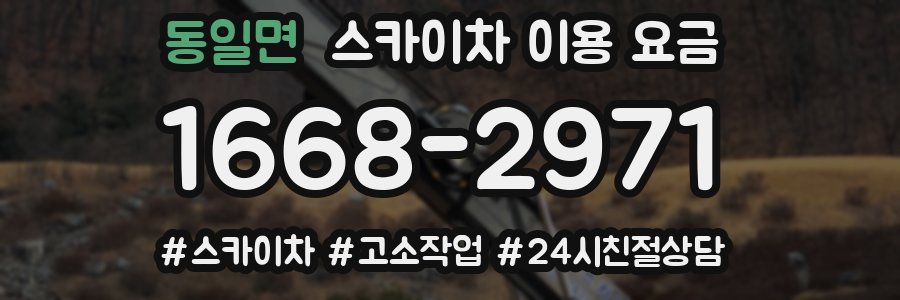 동일면 스카이차 이용 요금