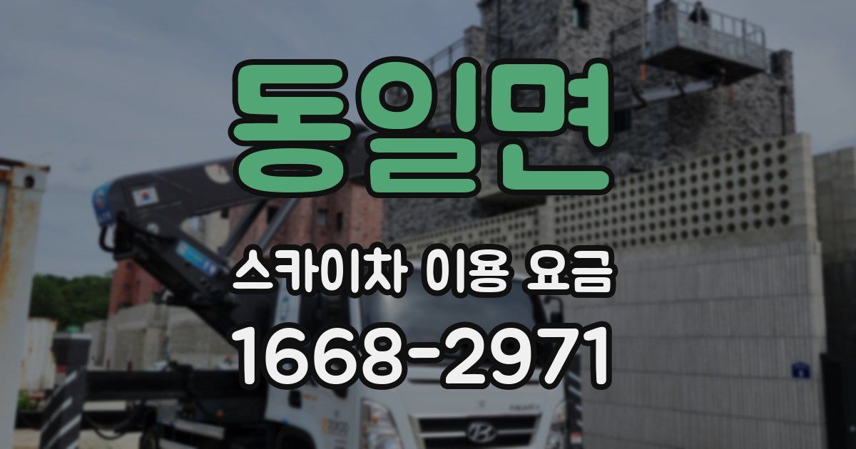 동일면 스카이차 이용 요금