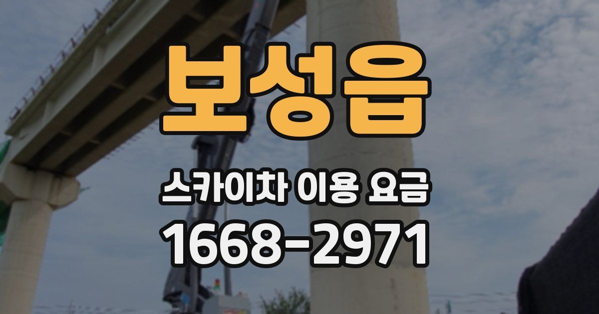 보성읍 스카이차 이용 요금