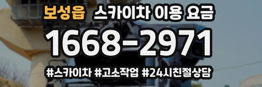 보성읍 스카이차 이용 요금