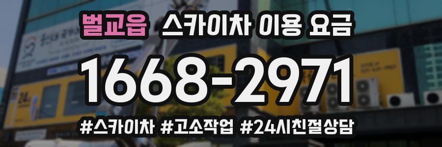 벌교읍 스카이차 이용 요금