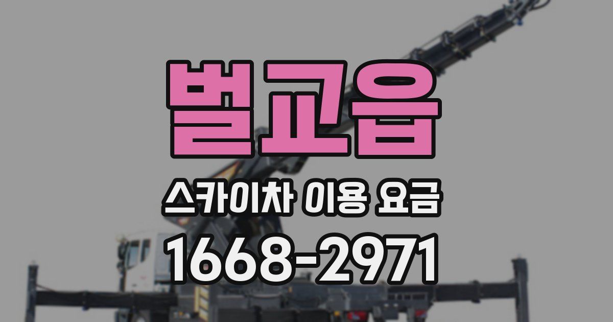 벌교읍 스카이차 이용 요금
