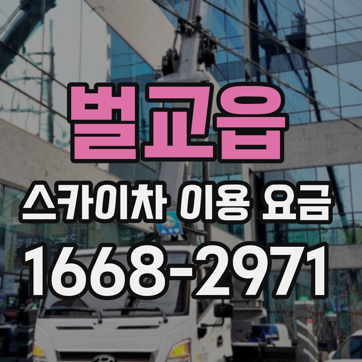 벌교읍 스카이차 이용 요금