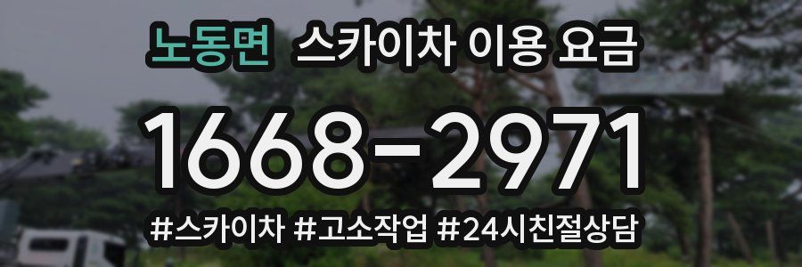 노동면 스카이차 이용 요금