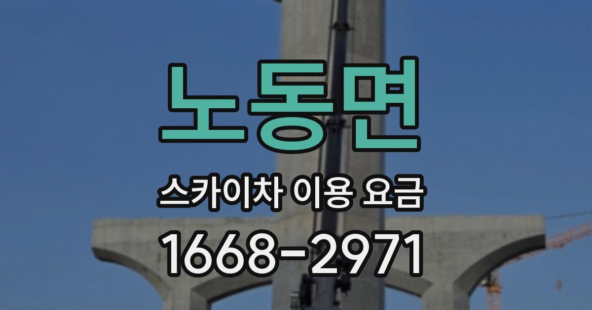 노동면 스카이차 이용 요금
