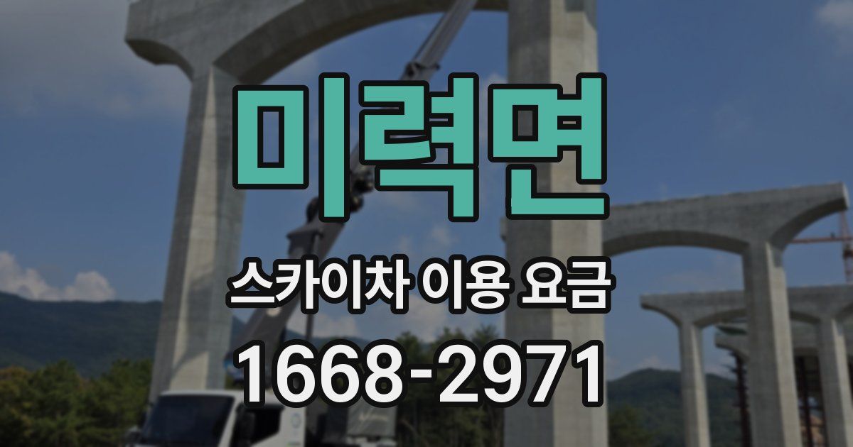 미력면 스카이차 이용 요금