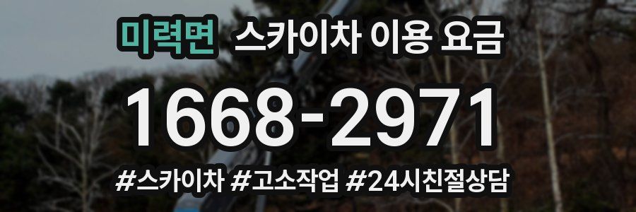 미력면 스카이차 이용 요금