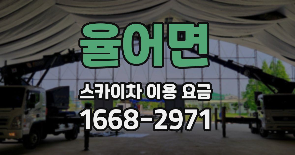 율어면 스카이차 이용 요금
