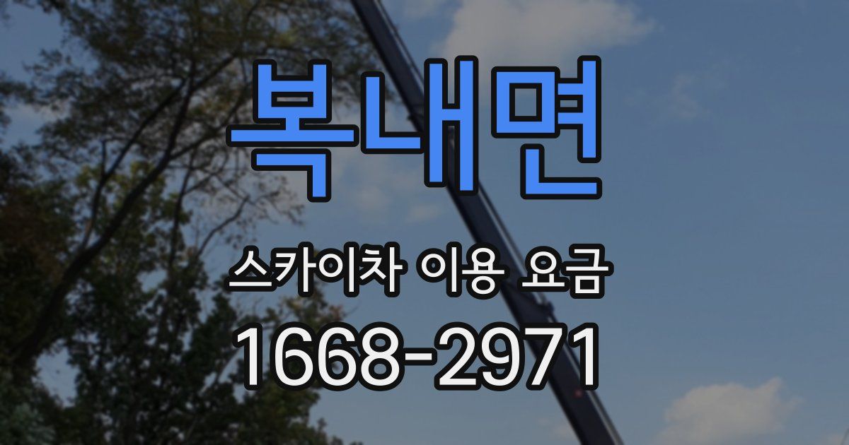 복내면 스카이차 이용 요금