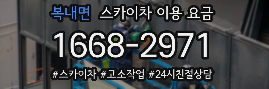복내면 스카이차 이용 요금