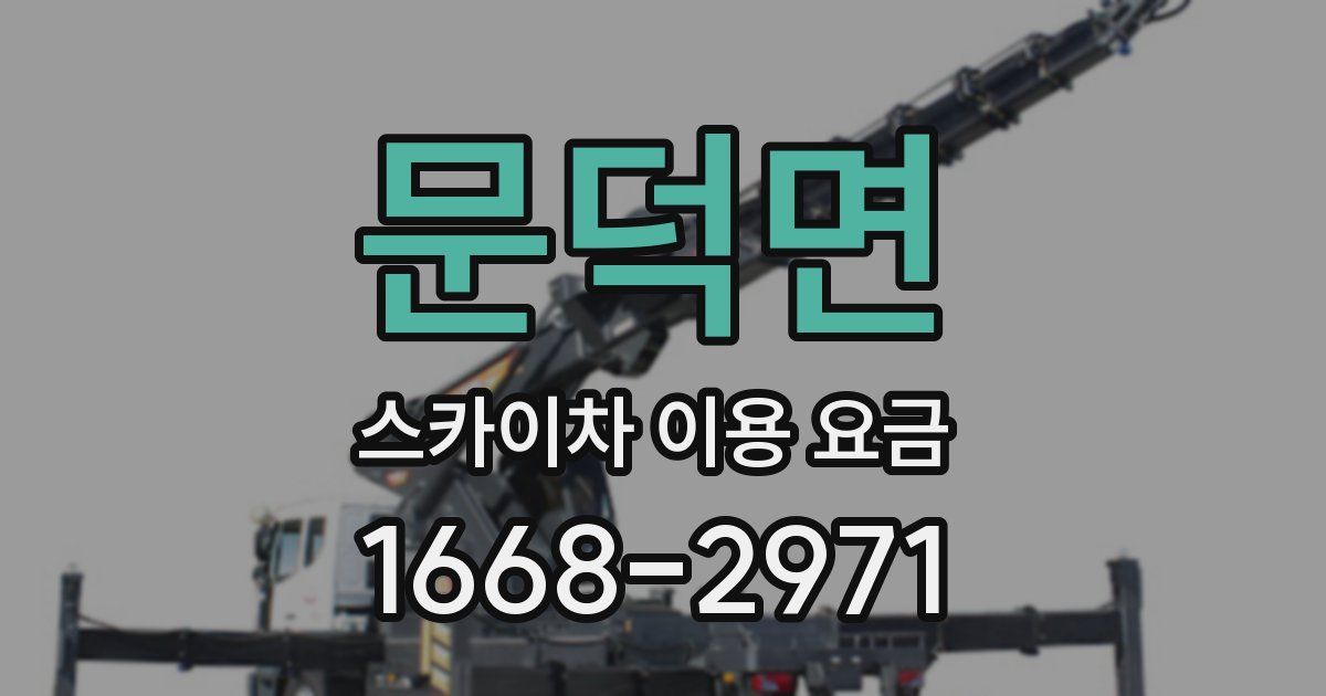 문덕면 스카이차 이용 요금