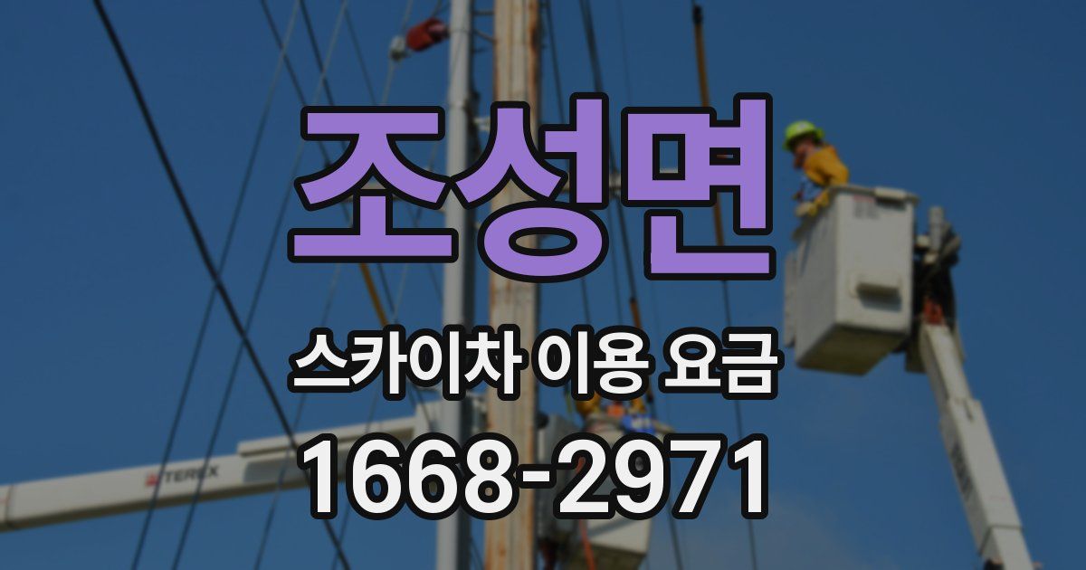 조성면 스카이차 이용 요금