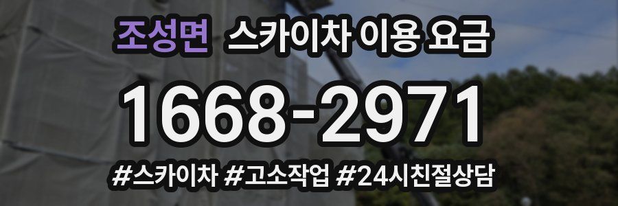 조성면 스카이차 이용 요금