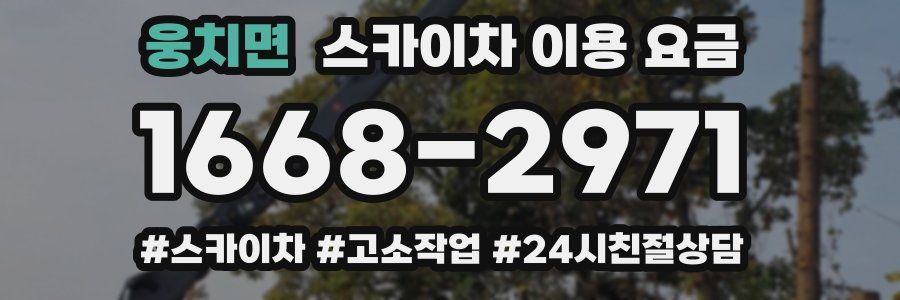 웅치면 스카이차 이용 요금