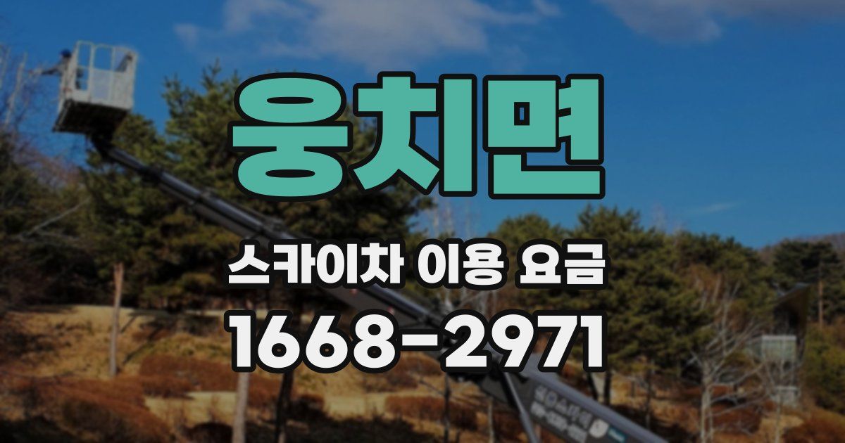 웅치면 스카이차 이용 요금