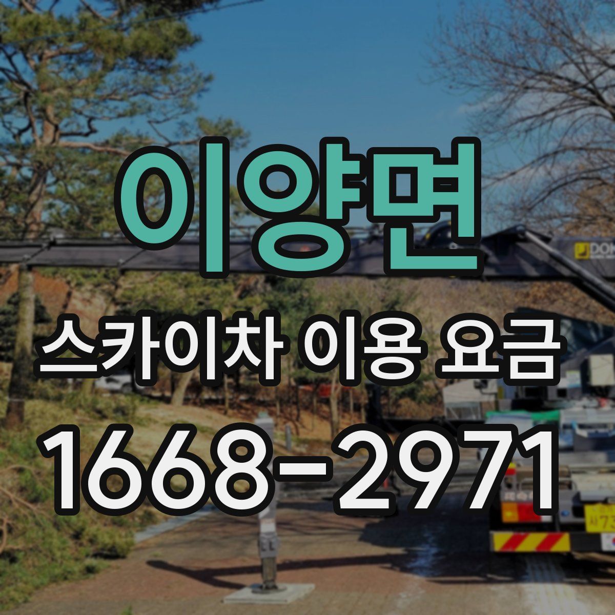 이양면 스카이차 이용 요금