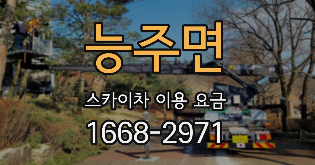 능주면 스카이차 이용 요금