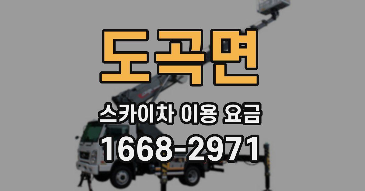 도곡면 스카이차 이용 요금
