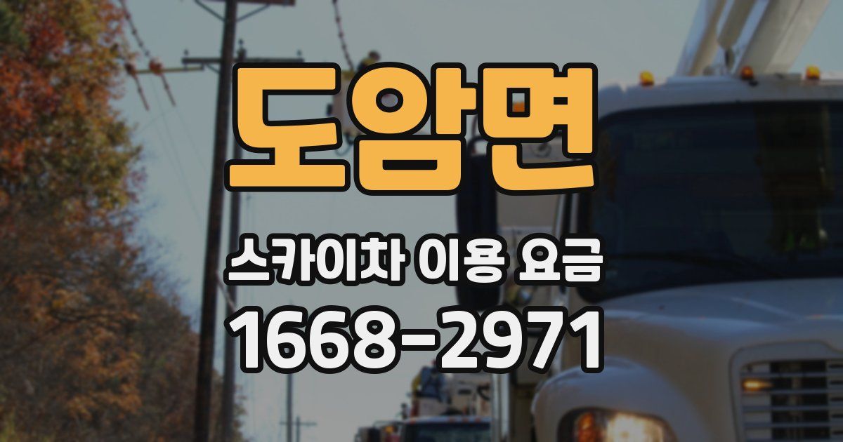 도암면 스카이차 이용 요금