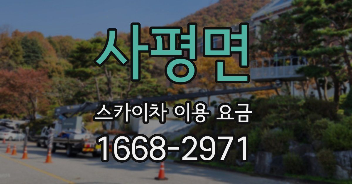 사평면 스카이차 이용 요금